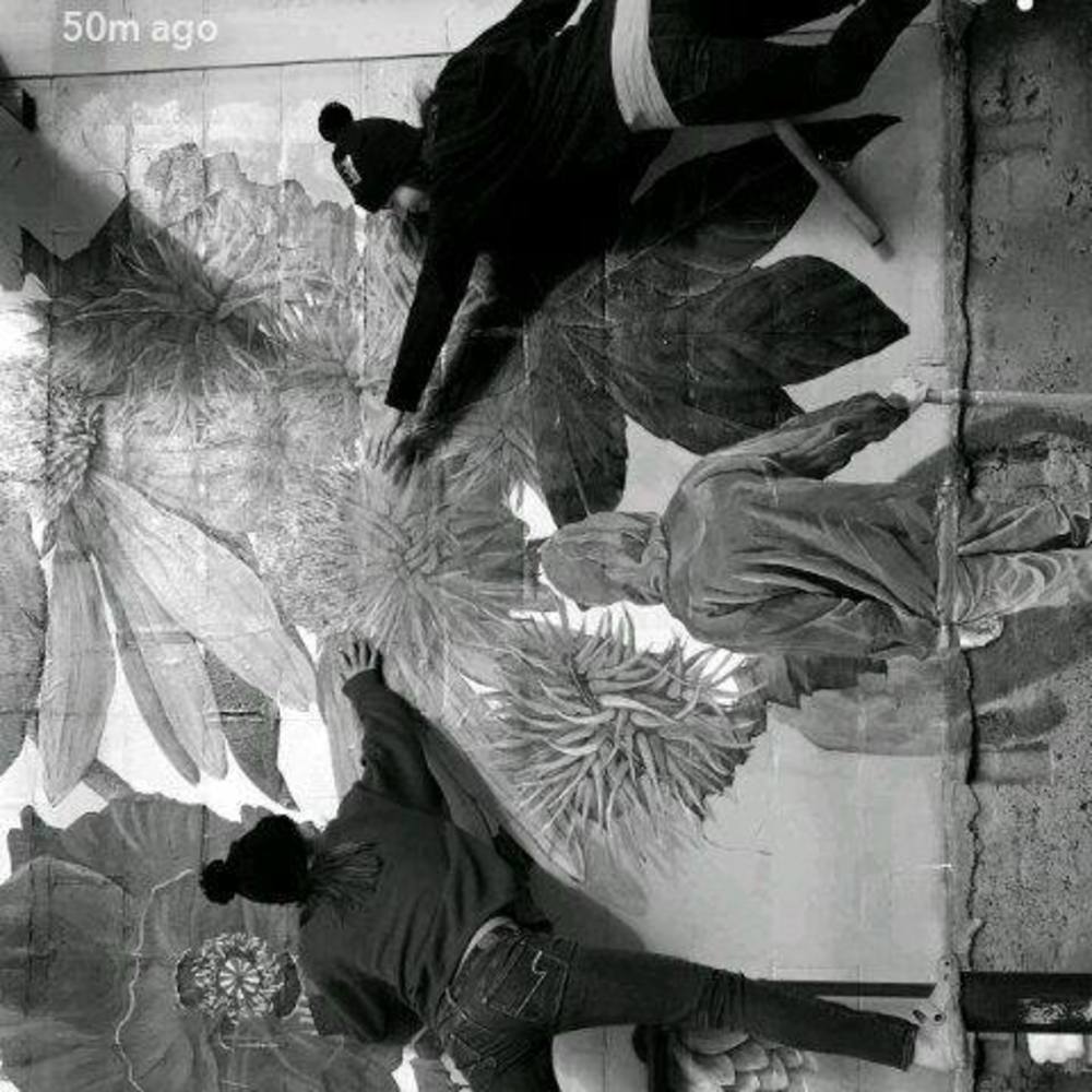 Meet your Posher, Zoe